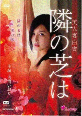 柯南剧场版17 绝海的侦探 封面
